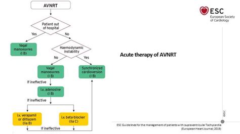 beta blockers for svt|ESC Guidelines for Management of Supraventricular Tachycardia.